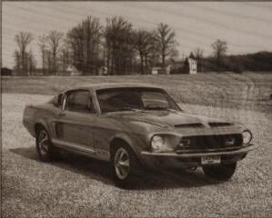 Laser-Engraved-Mustang